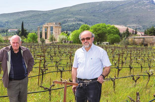 Είναι δυνατόν να λέει στοπ στη φύτευση; Αυτήν τη στιγμή σε όλο τον κόσμο επεκτείνεται η καλλιέργεια του αμπελιού και έρχεσαι εσύ στην Ευρώπη να λες, απαγορεύεται η φύτευση.