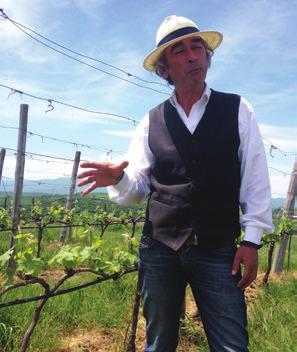 Ο ΟΙΠΟΡΙΚΟ ΜALVASIA DI CANDIA AROMATICA Επιστρέφει η αμπελουργία στην Πιερία Μόνο οι περιορισµένες άδειες αµπελοφύτευσης στέκονται εµπόδιο στην οινοποιητική αναγέννηση του νοµού Πιερίας, που εδώ και