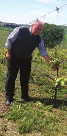 µέσης ηλικίας 35-45 ετών, οι οποίοι µε το µεράκι και το πάθος τους για το σταφύλι και το κρασί, έχουν αναπτύξει δυναµικά τον κλάδο τοπικά.