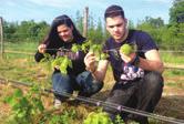 το αντικείµενο για βιοπορισµό και όχι για ιδιόχρηση της παραγωγής τους.