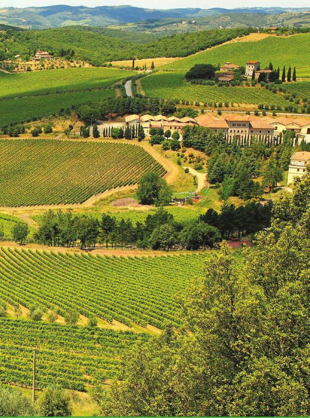 ΤΟΣΚΑΝΗ Οίνος επί χάρτου Chianti Bolghieri Montalcino Κείμενο: Ματούλα