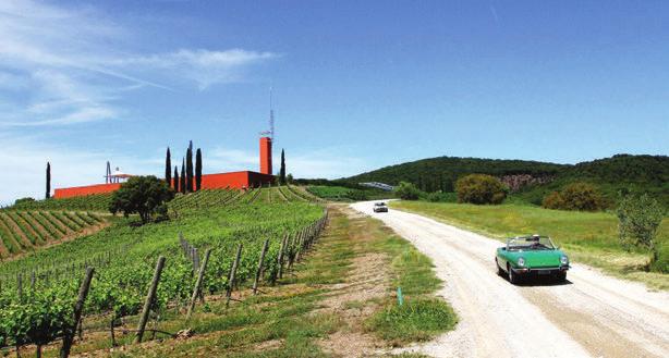 Rocca di Frassinello Maremma Το αχανές υπόγειο κελάρι, σχεδιασμένο από τον παγκόσμιας φήμης αρχιτέκτονα Renzo Piano (φωτό αριστερά), μοιάζει με αρχαίο ελληνικό θέατρο, Στο κέντρο, υπάρχει ένα είδος