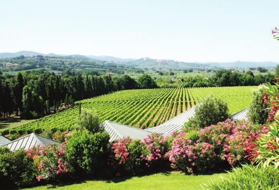 Gaja Ca Marcanda Bolgheri Bolgheri έδειξε η πυξίδα για την τέταρτη ημέρα του οδοπορικού μας στην Τοσκάνη και το οινοποιείο Gaja Ca Marcanda, το οποίο στη διάλεκτο του Piemonte σημαίνει «το σπίτι των