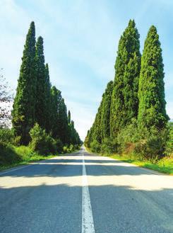 Must για κάθε οινόφιλο Το εστιατόριο La Pinetta βρίσκεται στη Marina di Bibbona στην ακτή της Θάλασσας της Λιγουρίας, και είναι φημισμένο για τα ψάρια και τα