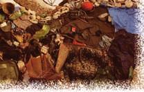 was not only harmless to the environment (as the work he created was