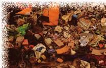 The film documents Vik Muniz going to Jardim Gramacho, one of the world