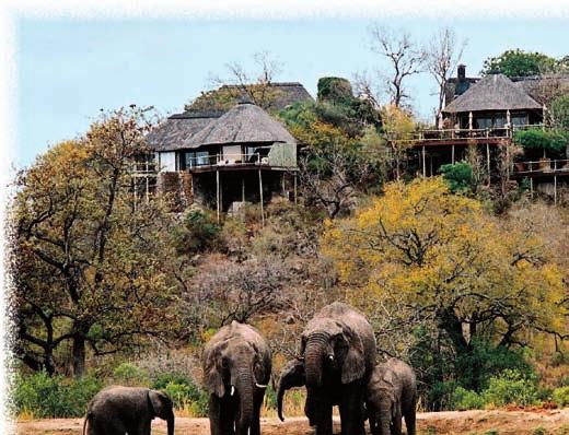 Virtual Travelling South Africa Αre you looking for somewhere to go on your holiday that is exotic, beautiful, with great culture and fantastic food? Here is your answer. South Africa! This is the country where I was born and raised and it is the most beautiful place ever.