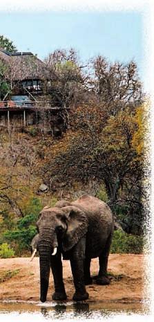 Will you visit Kirsten-Bosh, one of the most beautiful botanic gardens in the world? Or will you climb to the top of Table Mountain, surveying the breathtaking view below?