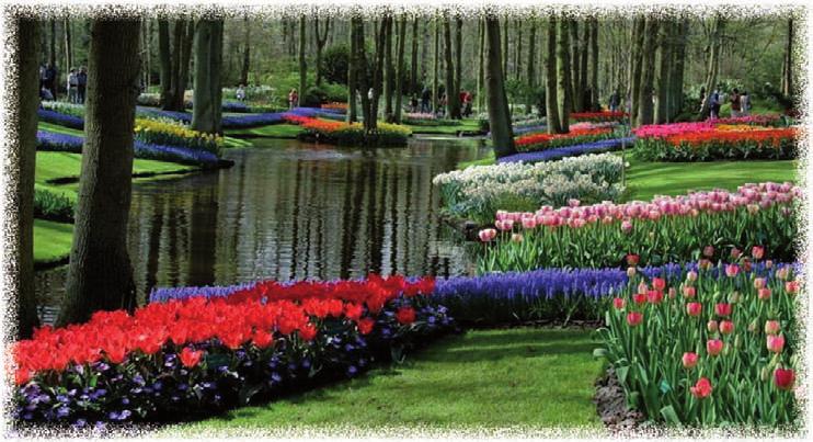 Virtual Travelling Holland Every year I go to Holland. My grandparents live there and we, too, come from Holland.