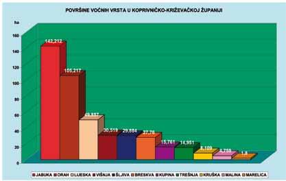 Vrhunac Dana voća je već tradicionalna izložba voća i voćnih prerađevina na glavnom đurđevačkom trgu koja