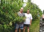 PANDUR BLAŽ Ljudevita Gaja 15, Kozarevac Tel: 048/895-090; 098/271-487 BRESKVA VIŠNJA MALINA ŠLJIVA