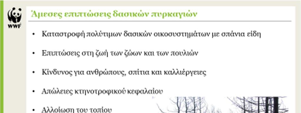 Διαφάνεια