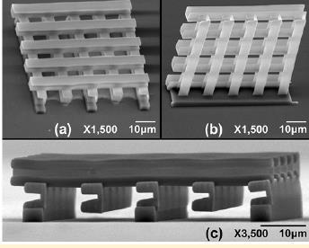 Strong Field Physics Dynamic Processes