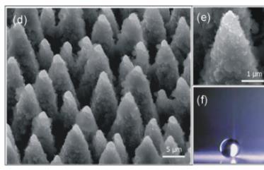 Nano- & Opto-electronics III-Arsenides