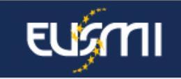 Innovation Solutions and Technology Support European Strategy