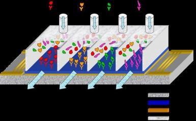 Gene Regulation / Epigenetics Chromatin &