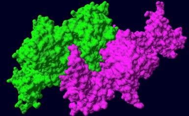 BIOTECHNOLOGY Biosensors Enzyme Technology &