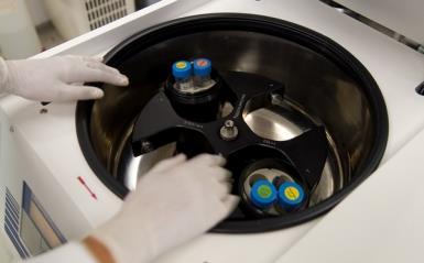 Molecular Immunology Inflammation & Cancer