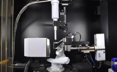 Electrophysiology Unit, FACS-sorting, Histology Lab,
