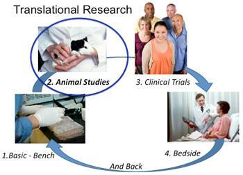 Disease Translational Research