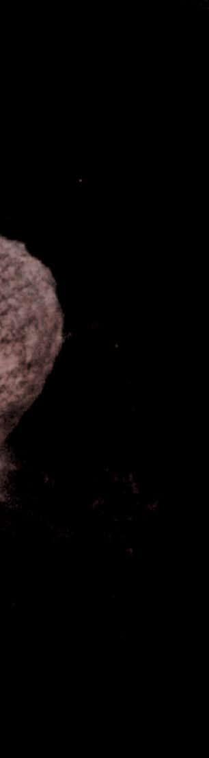 Горан Павичић Настанак хемијских елемената η Carinae (Љубазношћу: Jon Morse (University of Colorado), NASA/ESA) Опште прихваћена теорија нуклеосинтезе нас учи да се тежи хемијски елементи стварају у