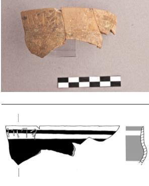 Εικ. 49.