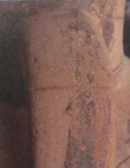 1995,  1995,  1995, pl. 1). pl. 2).