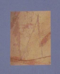 2011, πίν. 133 7α-β).