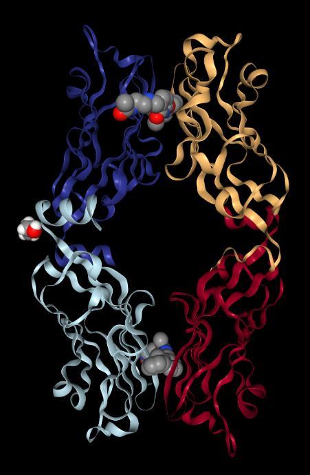 5. BMS-202 Η ανοσοθεραπεία του καρκίνου θεωρείται ευρέως ως μία στρατηγική στην ογκολογία όπου κατά την εφαρμογή της, το ίδιον ανοσοποιητικό σύστημα του ασθενή διεγείρεται να πολεμήσει τον όγκο του.