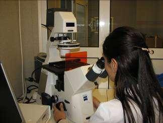 In cadrul acestui laborator se testeaza o serie de biomateriale obtinute in institutul nostru, in cadrul diverselor departamente de cercetare.