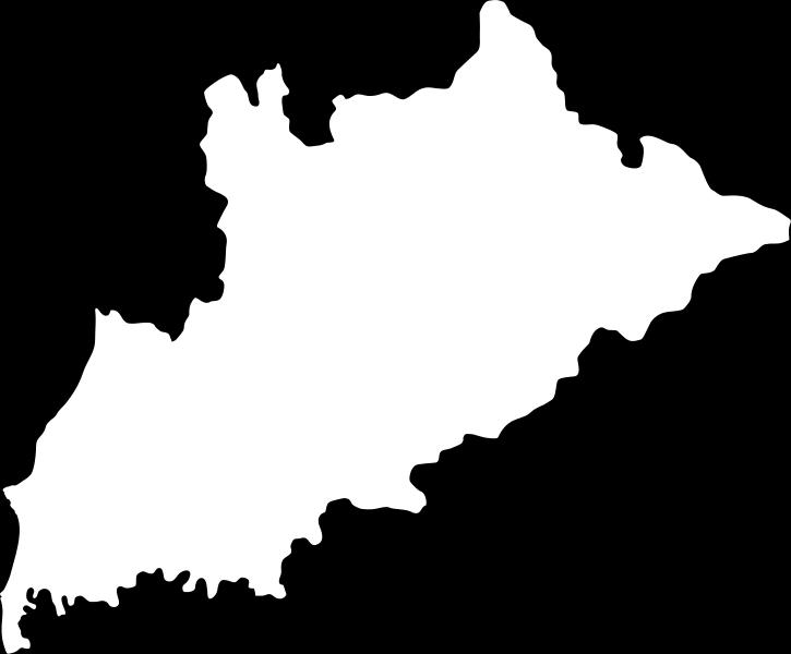 Popullsia e qarkut Tiranë përbën rreth 26.76% të popullsisë së vendit, referuar të dhënave të Census-it 2011 dhe dendësia mesatare e popullsisë është 472.