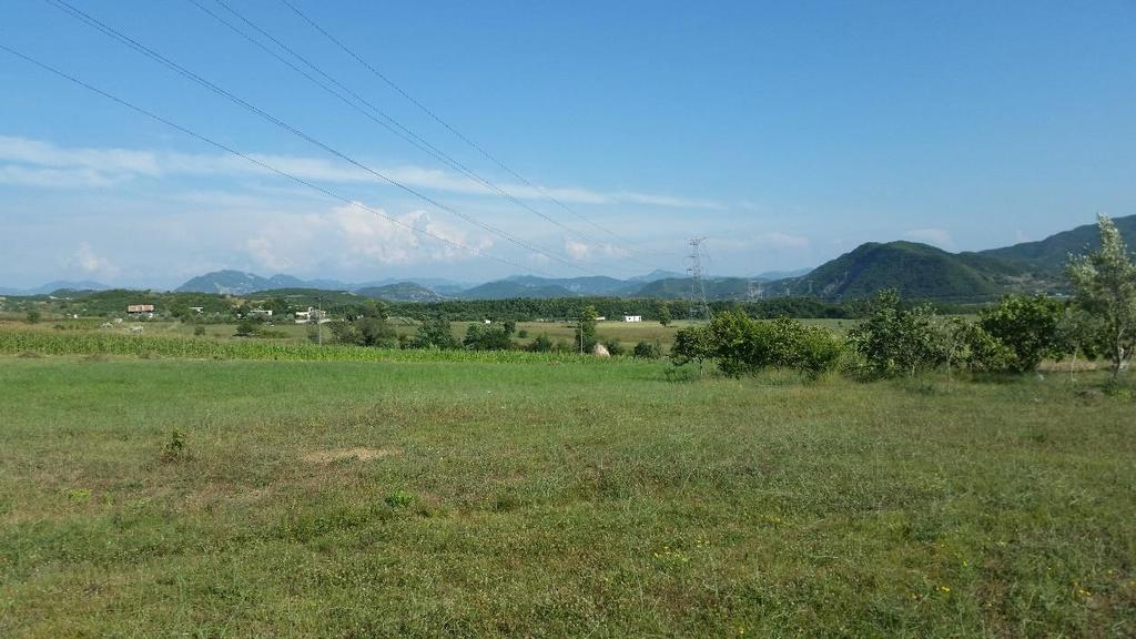 Figura 7 Pamje nga zona 2.4.3 Statusi ligjor i tokës që do të zihet Toka e propozuar është private në 39.9% të sipërfaqes, Pjesë e Bashkisë Tiranë, Njësia Administrative Vaqarr, Zona Kadastrale 3321.