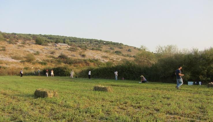 Δεκάδες φοιτητές του Εθνικού και Καποδιστριακού Πανεπιστημίου Αθηνών (προπτυχιακοί, μεταπτυχιακοί και υποψήφιοι διδάκτορες) αλλά και πανεπιστημίων του εξωτερικού έλαβαν μέρος στην έρευνα πεδίου κατά