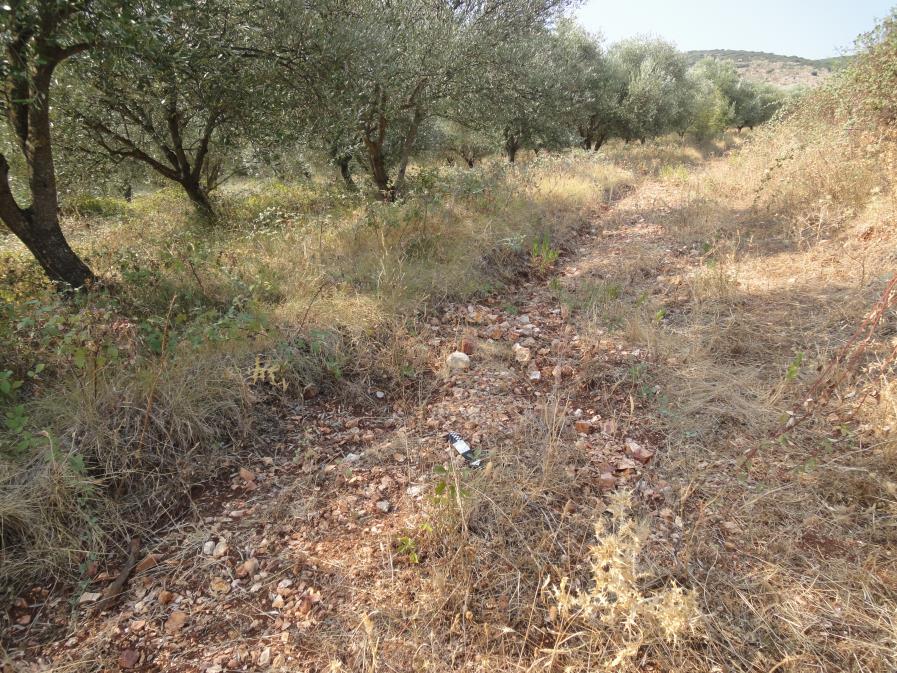 28 όπως η θεωρία της πρακτικής και η κοινωνική θεωρία, καθώς και με άλλες επιστήμες όπως η νευροψυχολογία 35. Εικ. 8.