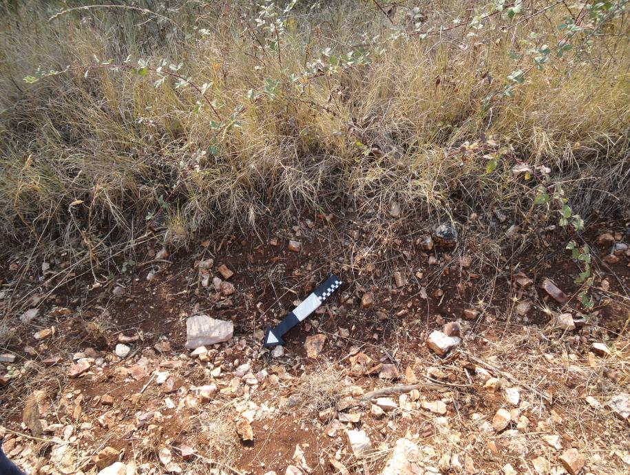 29 Εικ. 9. Λεπτή τομή από τη διάνοιξη ενός δρόμου στη Δράμεση 2 (φωτογραφικό αρχείο Κουρτέση Φιλιππάκη).