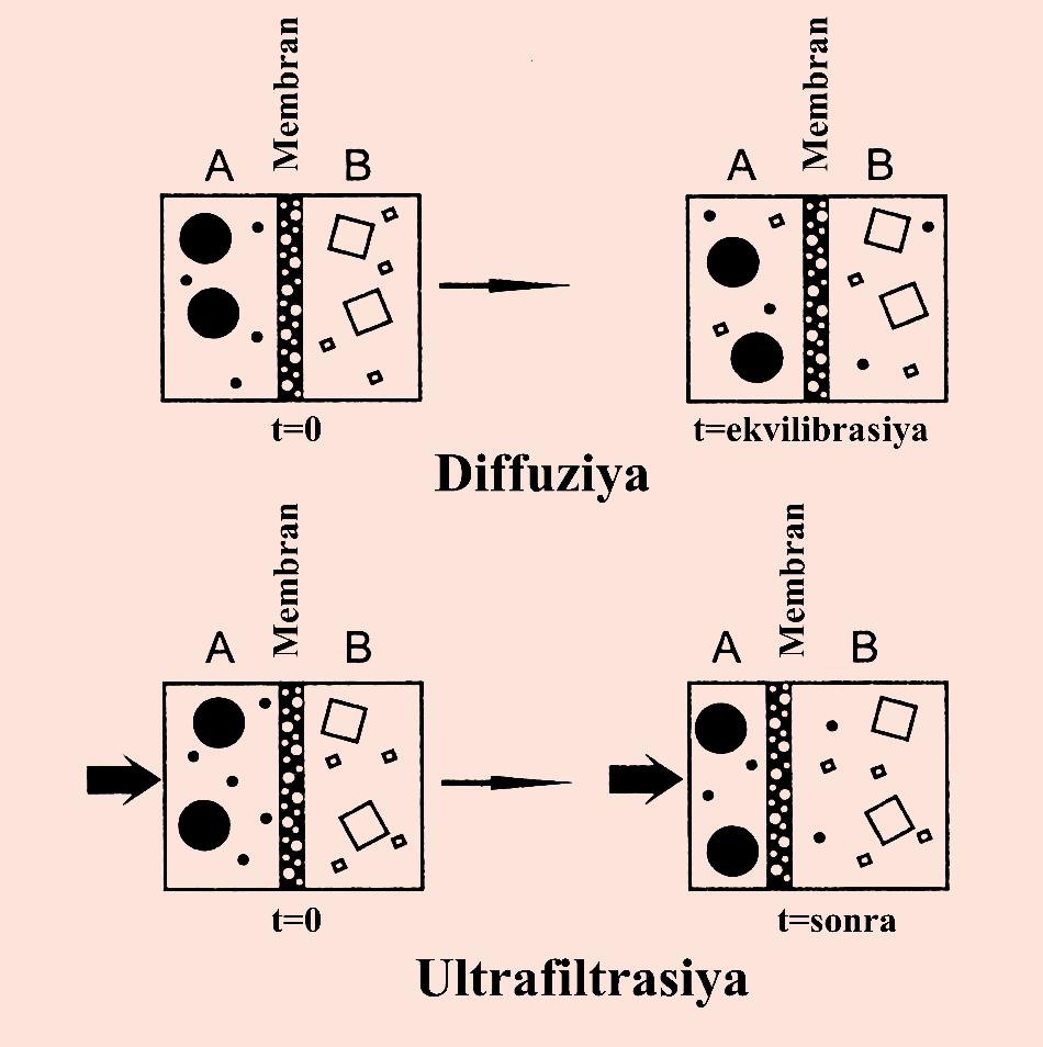 Fəsil 4. Hemodializ Şəkil 4.2. Diffuziya prosesi (yuxarıda) və ultrafiltrasiya (aşağıda).