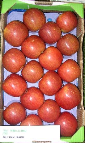 Dopunska boja prisutna je na više od 90% površine, sa svetlim do tamno crvenim prugama. Sadržaj šećera u plodu niži je nego kod standardnih klonova. Meso ploda je zelenkaste boje.