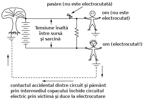 Totuşi, toate acestea se pot schimba radical în momentul formării unei legături accidentale cu pământul, precum atingerea liniilor de înaltă tensiune de către o creangă ce duce la formarea unei