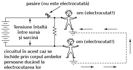 Precum am spus şi mai sus, ramurile copacilor sunt doar o sursă potenţială ale defectelor de împământare.