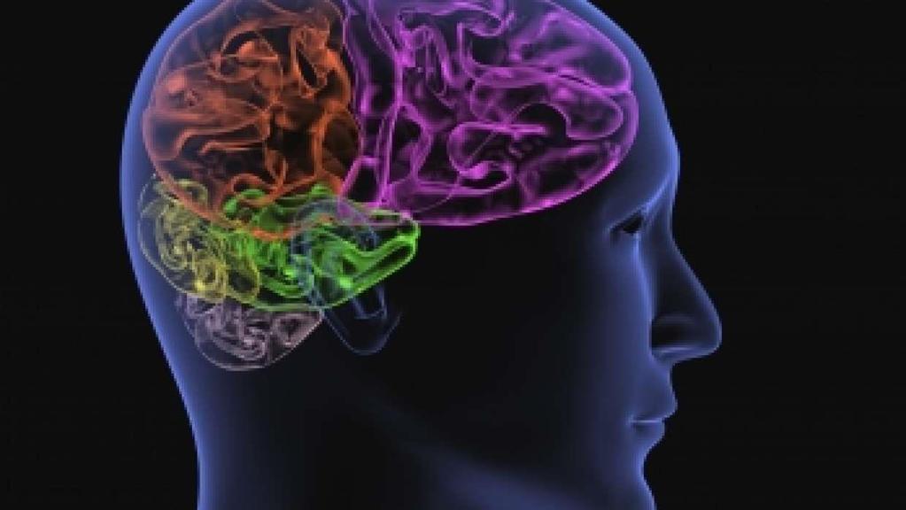 Neuropolitics, Neuromarketing,
