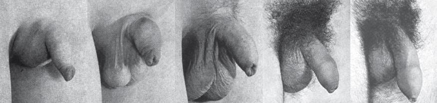 1 2 3 4 5