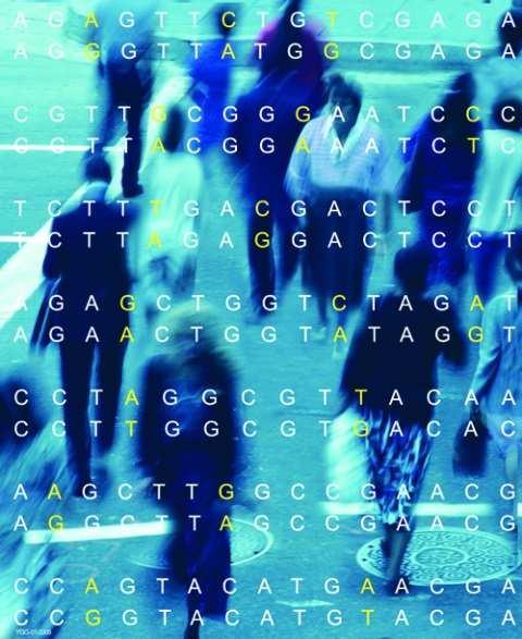 0.1% ~ 3 miliona baza ~ 10 miliona DNK varijanti koje se mogu naći u različitim kombinacijama dovoljno da se obezbedi individualna unikatnost na nivou