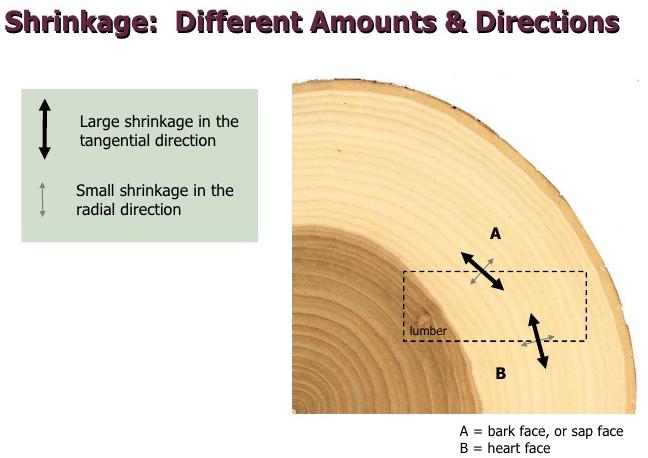Μεταβολή αρχικής κυκλικής διατομής ξύλου σε σχήμα oval λόγω μεγαλύτερης εφαπτομενικής ρίκνωσης από