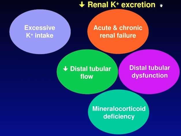 HIPERPOTASEMIA Tulburare a balantei externe (exces al cantitatii totale de potasiu) sau a balantei interne (schimburi transcelulare) Acidoză Hiperosmolaritate (ex hiperglicemie) Beta blocante