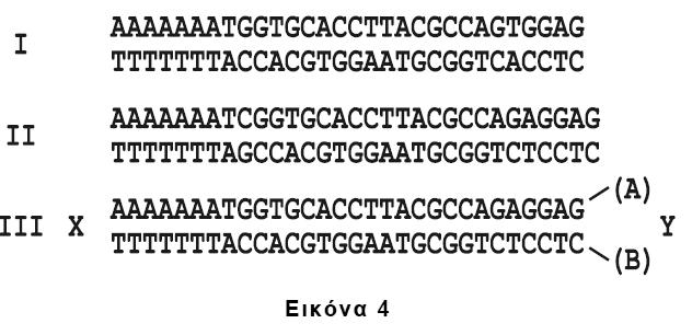 10 Θ προςκικθ τθσ λακτόηθσ πραγματοποιικθκε τθ χρονικι ςτιγμι t 1. Να αιτιολογιςετε τθν αφξθςθ του mrna. 45.