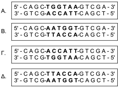 37 Α. n Β. n-1 Γ. n-2 Δ. 2n-1 208. Στο πλαίςιο βρίςκεται ζνα τμιμα DNA ςτο οποίο ςυμβαίνει αναςτροφι του τμιματοσ με τθν ζντονθ γραφι. Το αποτζλεςμα κα είναι: 209.