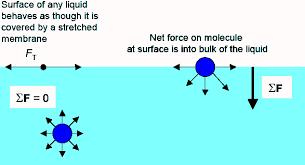 سابعا : قياس التوتر السطحي Surface tension يعتبر التوتر السطحي الخاصة األهم للسطح الفاصل بين السائل والغاز.