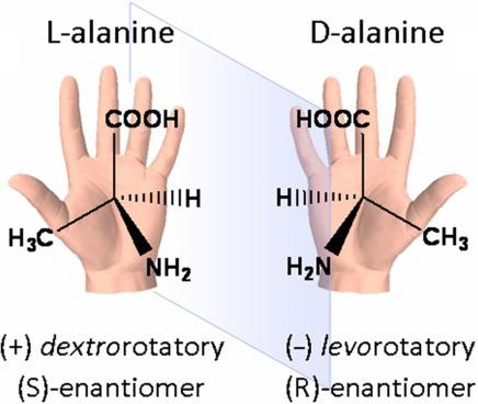 يوجد عدة أنظمة لتسمية هذه المركبات فهي إما D أوL أي dextrorotary or levorotary مثل في حالة L,D Alanine أو تسمى R أو S ويسمى مزيج هذين الشكلين بالمزيج ال ارسيمي.