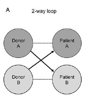 Αρχική περιγραφή 2πλή χιαστί ανταλλαγή «Ανταλλαγή» δοτών μεταξύ δύο ασύμβατων είτε κατά ομάδα αίματος είτε κατά HLA