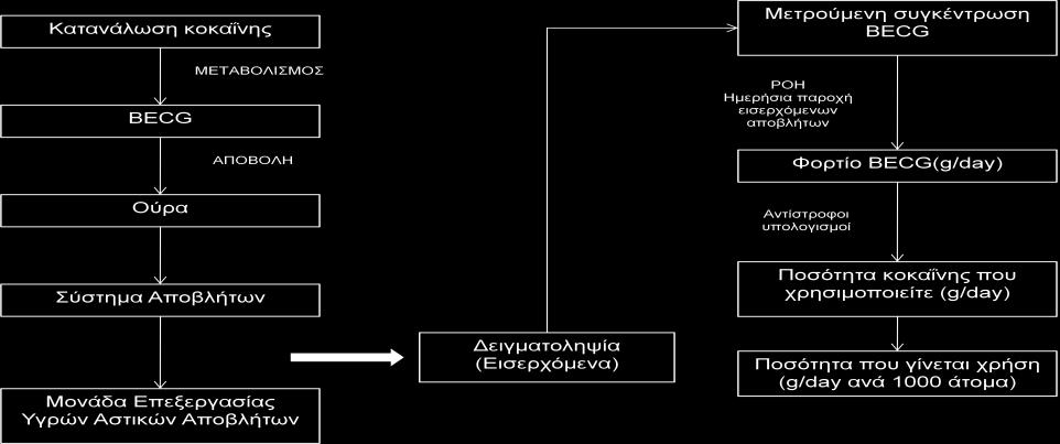 Υπάρχει επίσης και η πληροφορία για βιοσυσσώρευση της fluoxetine, της sertraline και των μεταβολιτών τους (νευροδραστικές ουσίες), όταν ανιχνεύτηκαν σε επίπεδα άνω των 0,1 ng/g σε όλους τους ιστούς